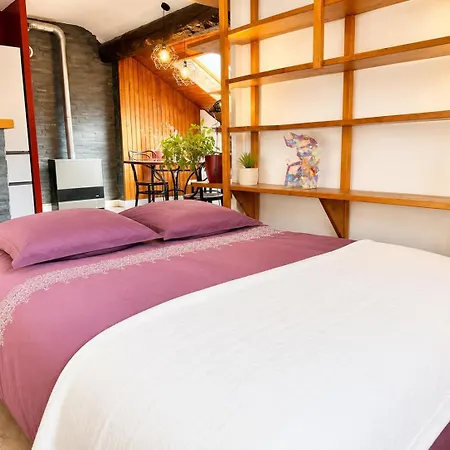 Cocon Cosy Hypercentre & Cinema Apartment Chambery